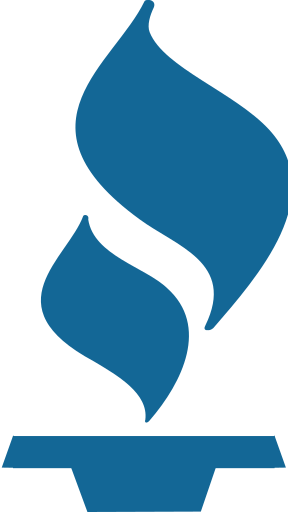 Abstract blue flame logo on white background.